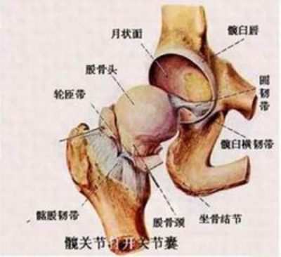 福州中德骨科医院